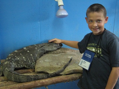 Black Throated Monitor at Science Camp - information, care, facts