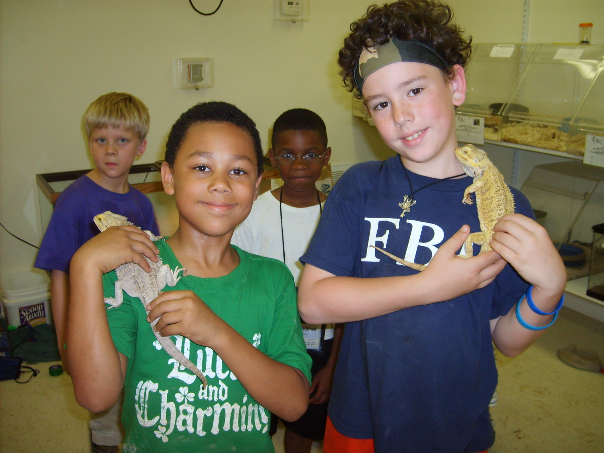 bearded dragons at summer camp