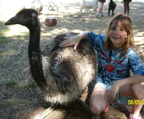emu