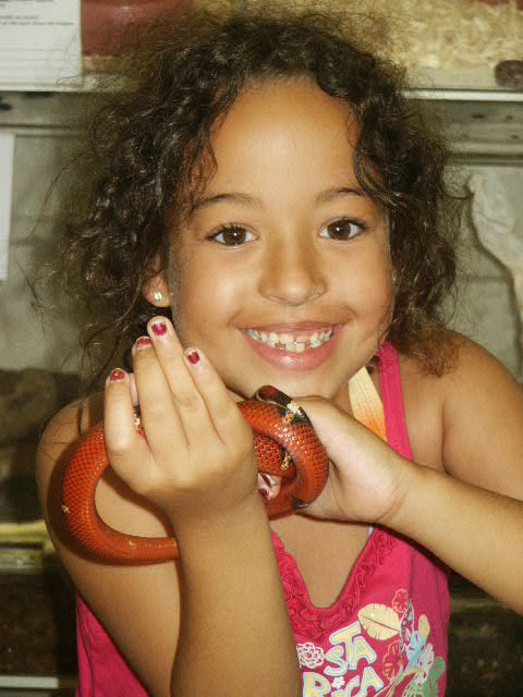 holding a milk snake