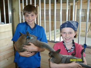 kids holding baby wallabies